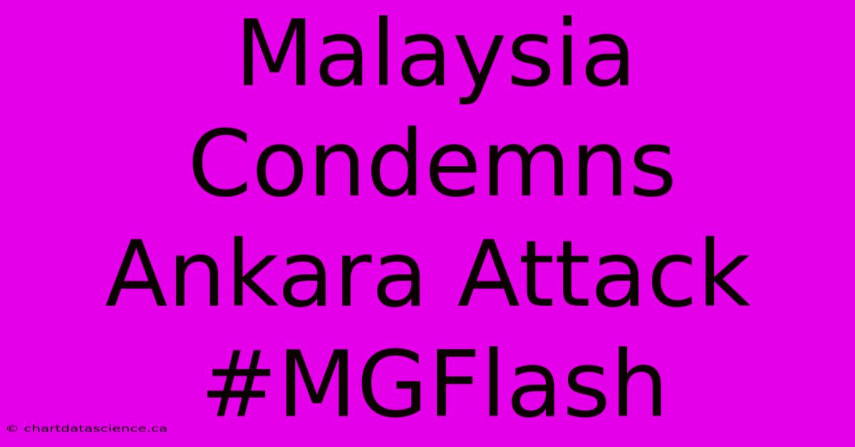 Malaysia Condemns Ankara Attack #MGFlash