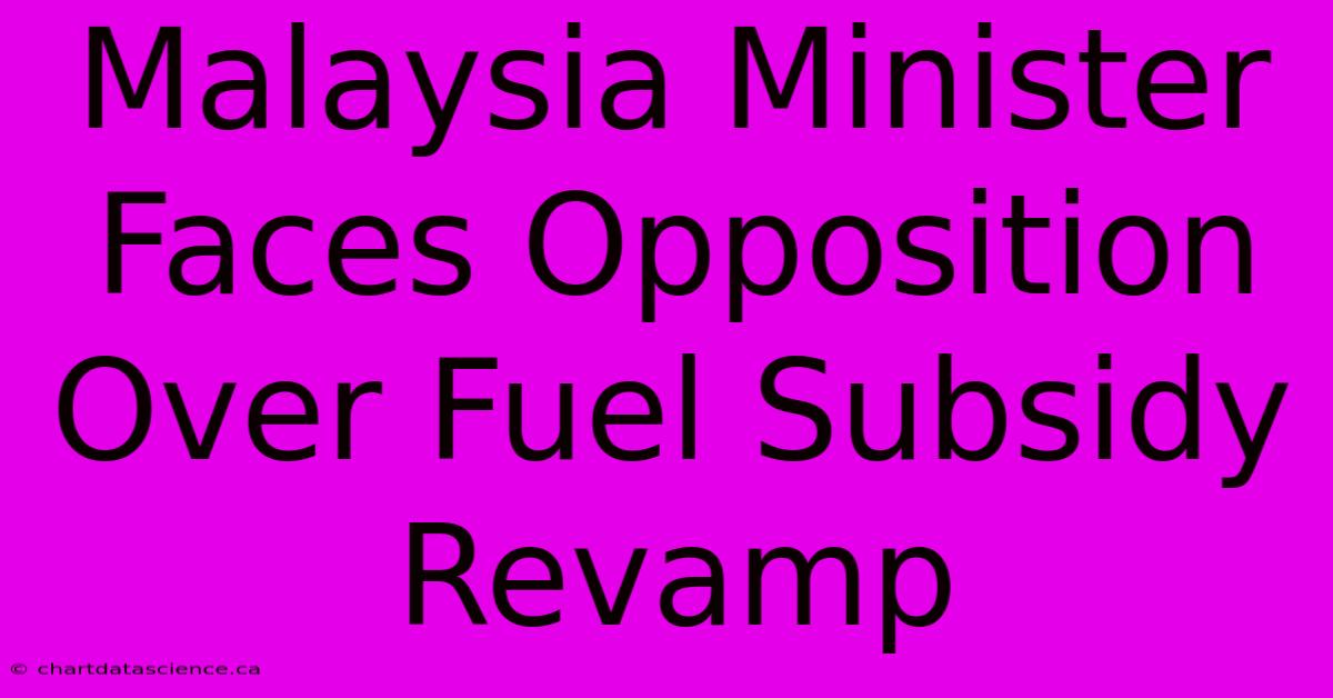 Malaysia Minister Faces Opposition Over Fuel Subsidy Revamp