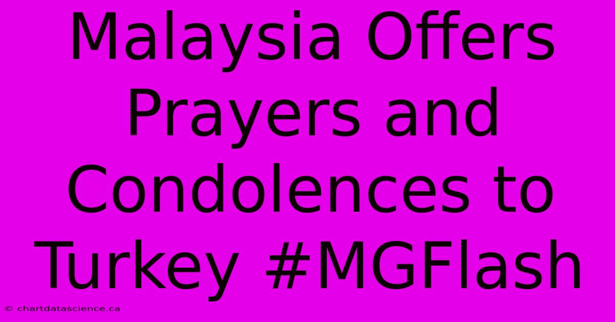 Malaysia Offers Prayers And Condolences To Turkey #MGFlash 