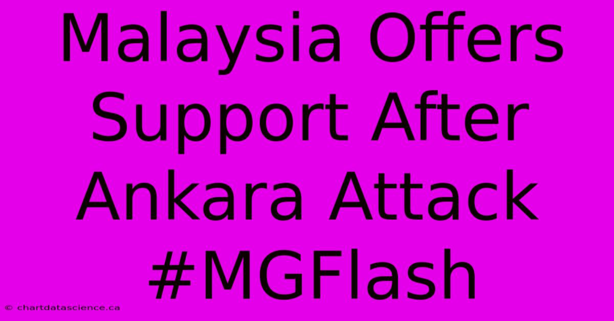 Malaysia Offers Support After Ankara Attack #MGFlash