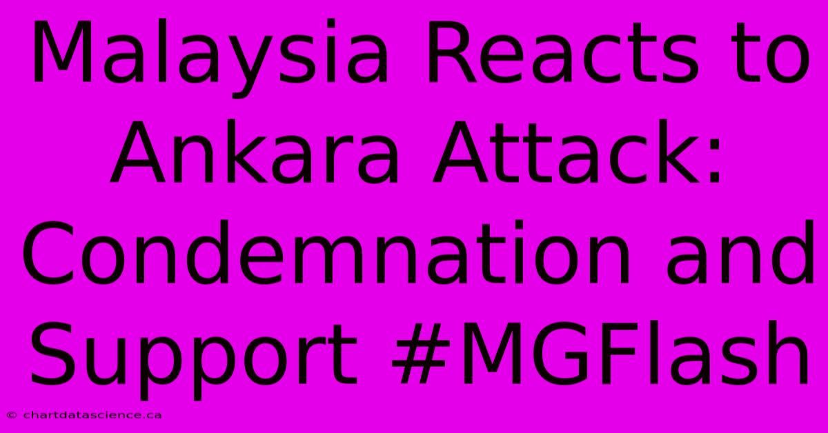 Malaysia Reacts To Ankara Attack: Condemnation And Support #MGFlash