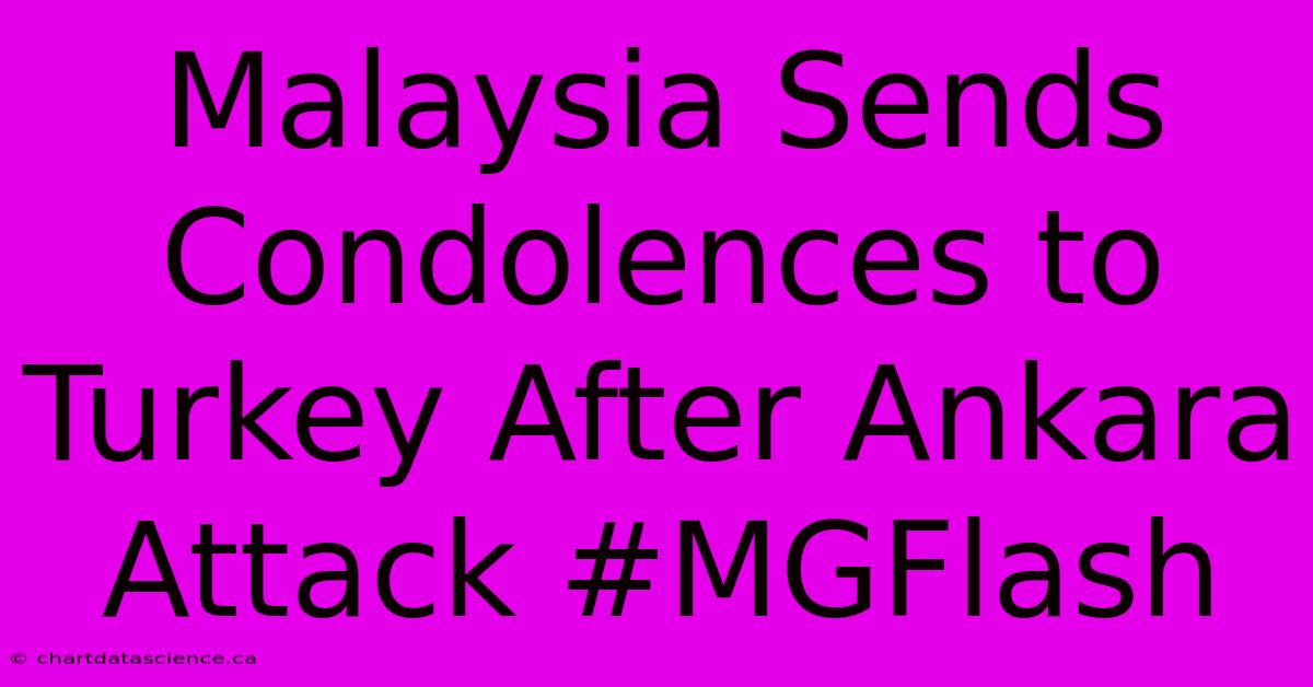 Malaysia Sends Condolences To Turkey After Ankara Attack #MGFlash