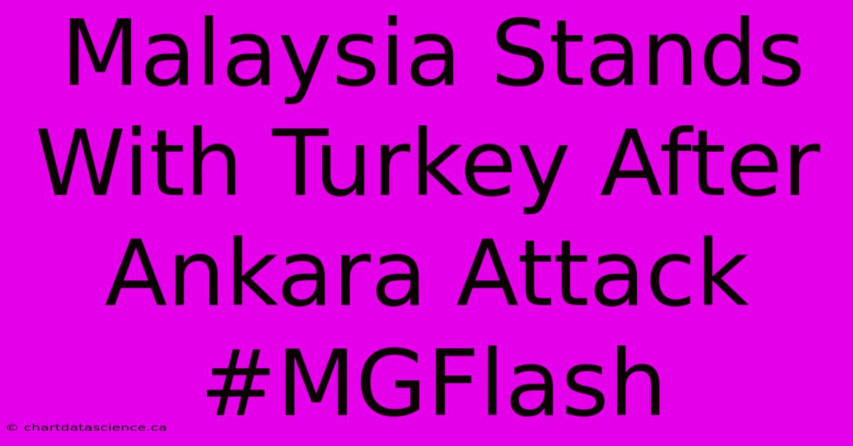 Malaysia Stands With Turkey After Ankara Attack #MGFlash