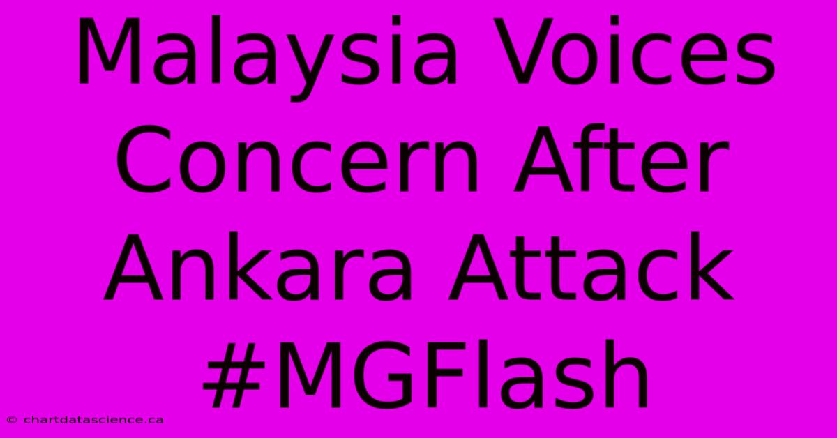 Malaysia Voices Concern After Ankara Attack #MGFlash