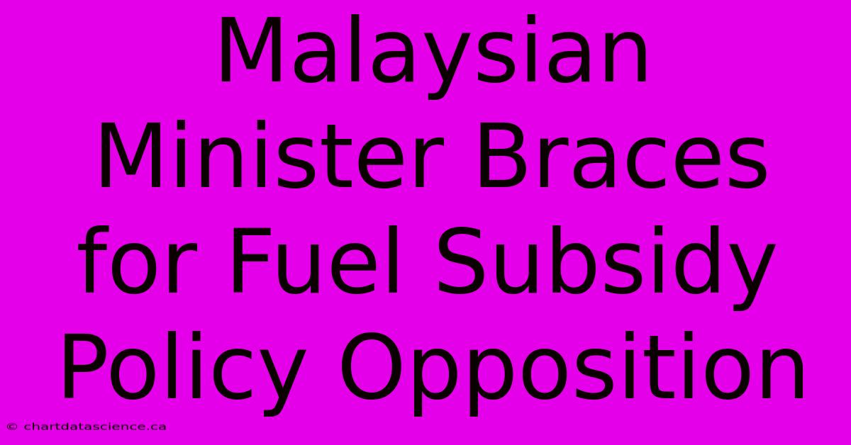 Malaysian Minister Braces For Fuel Subsidy Policy Opposition