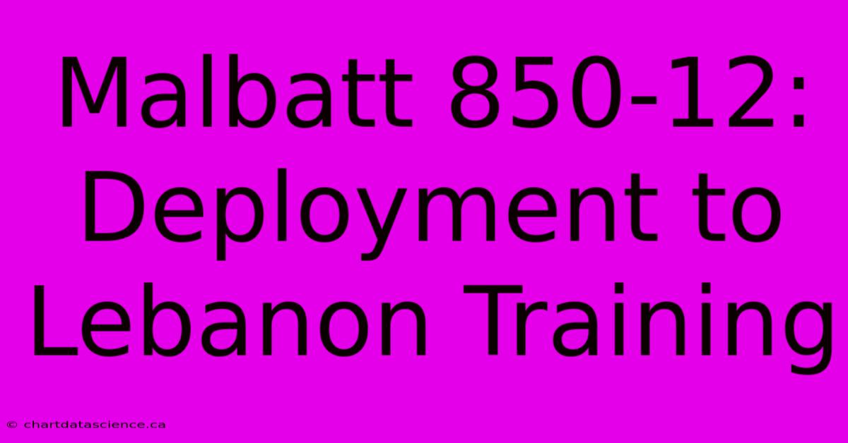 Malbatt 850-12: Deployment To Lebanon Training