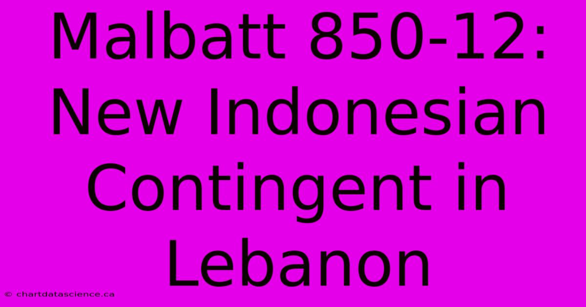 Malbatt 850-12: New Indonesian Contingent In Lebanon