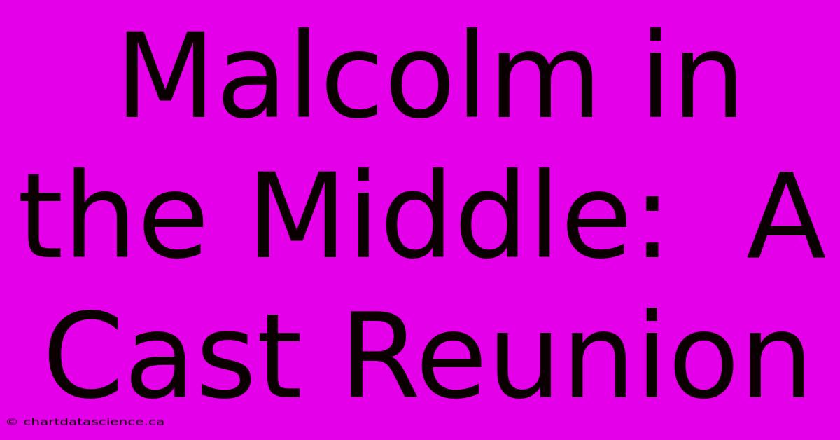 Malcolm In The Middle:  A Cast Reunion