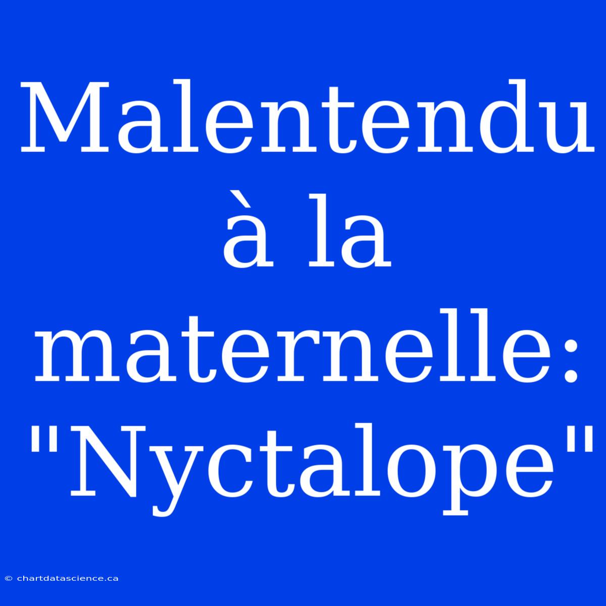 Malentendu À La Maternelle: 