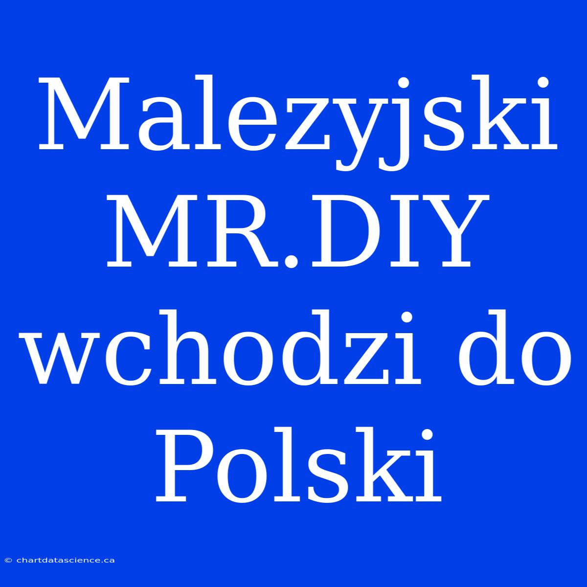 Malezyjski MR.DIY Wchodzi Do Polski