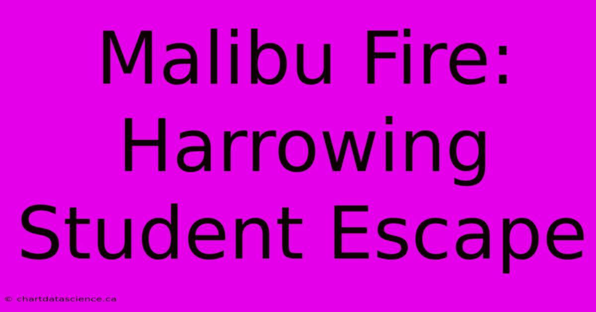 Malibu Fire: Harrowing Student Escape