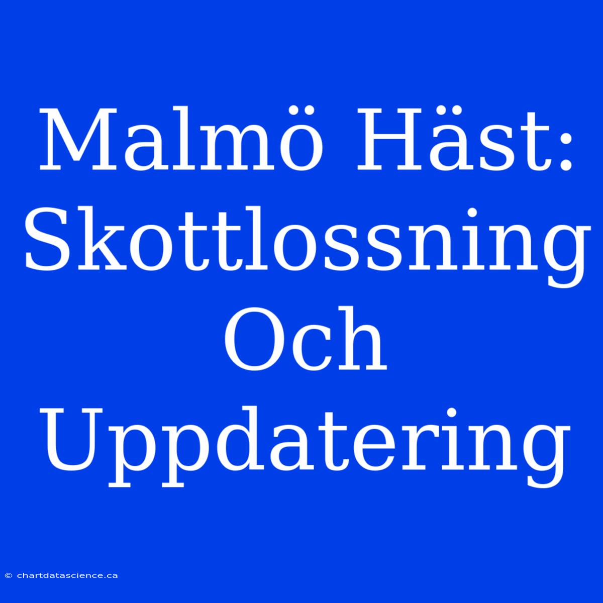 Malmö Häst: Skottlossning Och Uppdatering