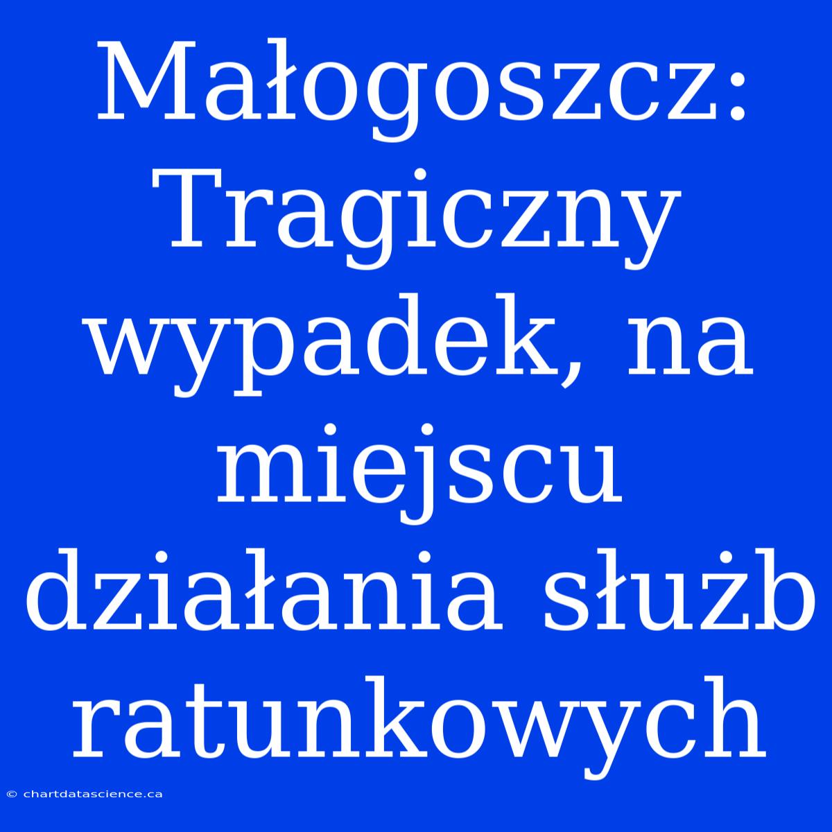 Małogoszcz: Tragiczny Wypadek, Na Miejscu Działania Służb Ratunkowych