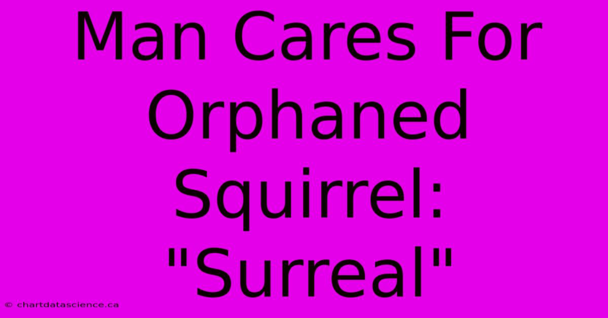 Man Cares For Orphaned Squirrel: 