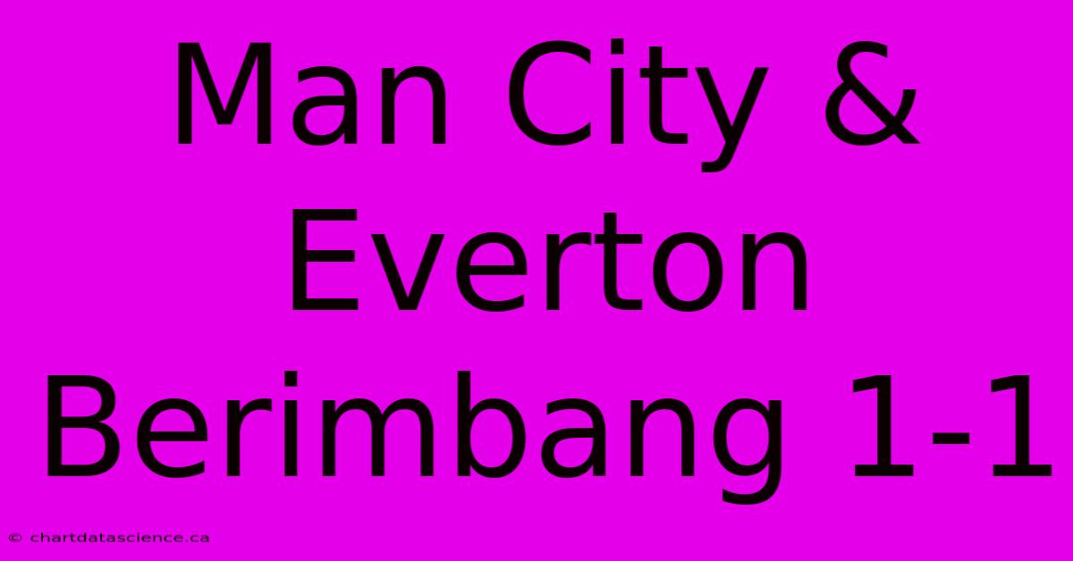 Man City & Everton Berimbang 1-1