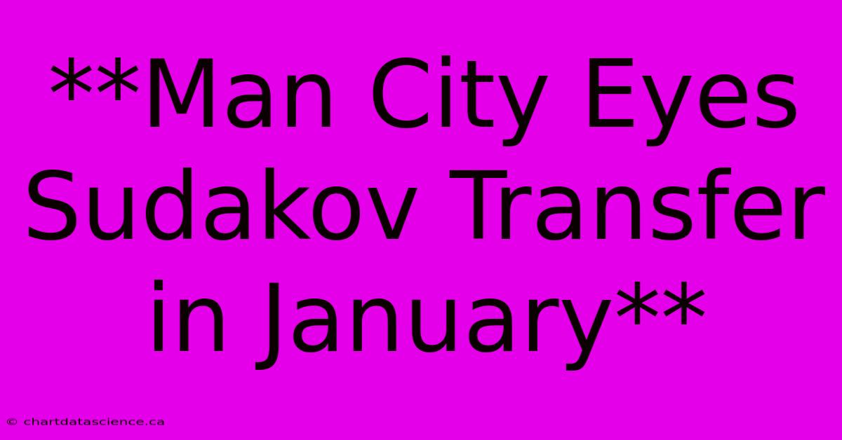 **Man City Eyes Sudakov Transfer In January**