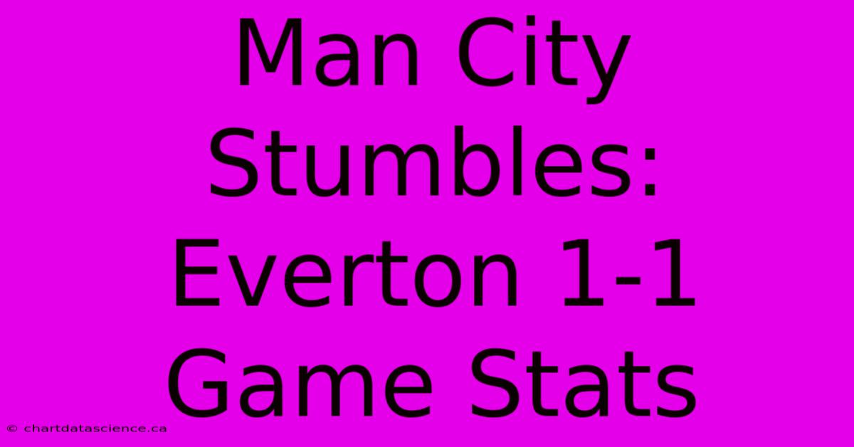 Man City Stumbles: Everton 1-1 Game Stats