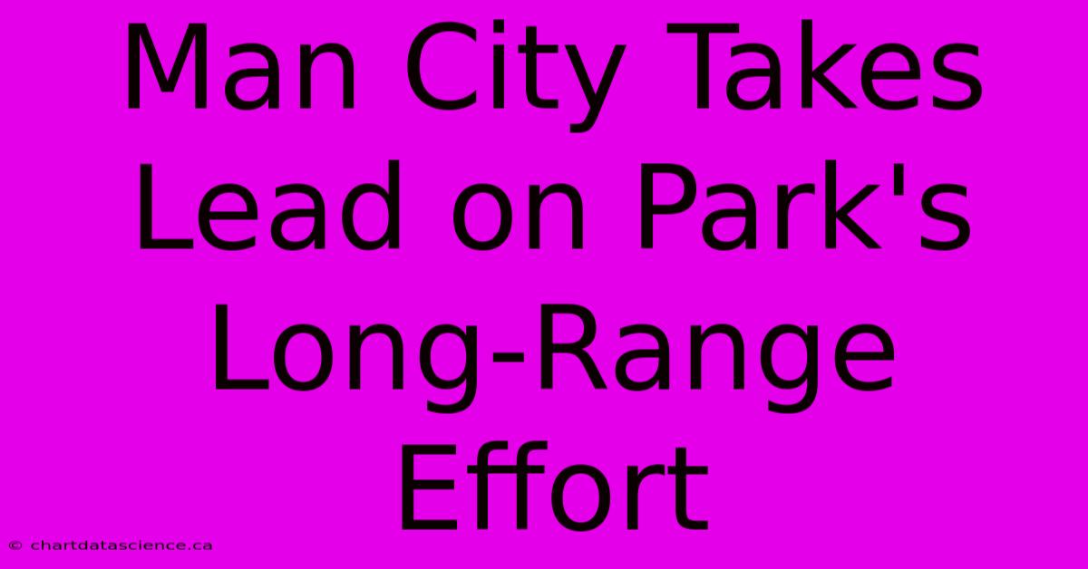 Man City Takes Lead On Park's Long-Range Effort