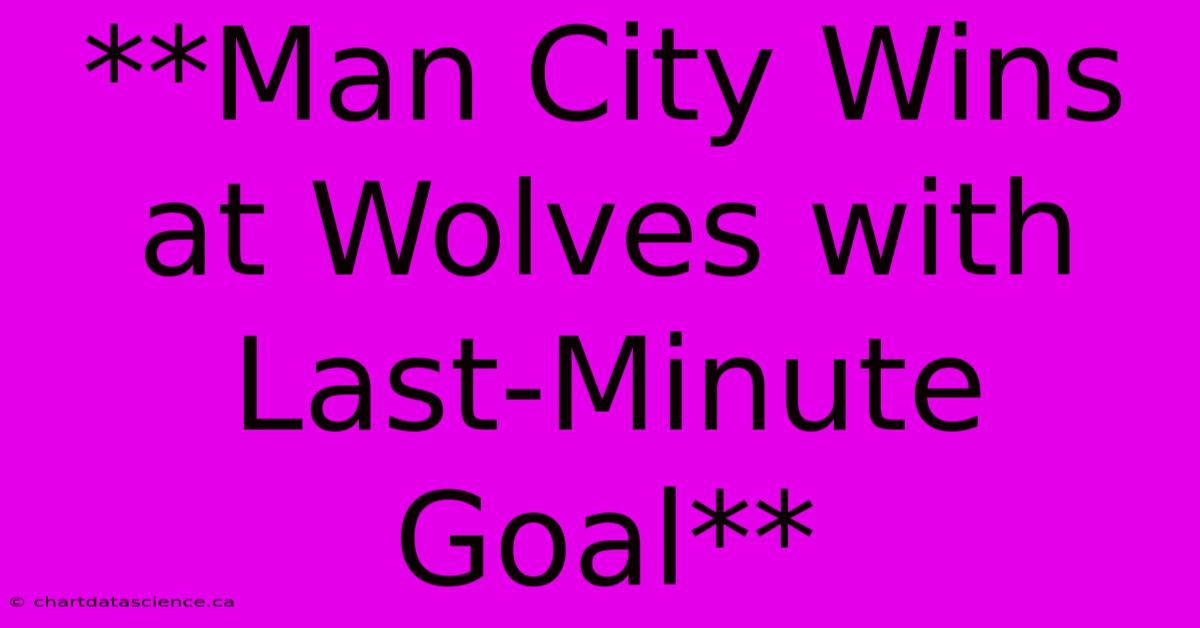 **Man City Wins At Wolves With Last-Minute Goal**