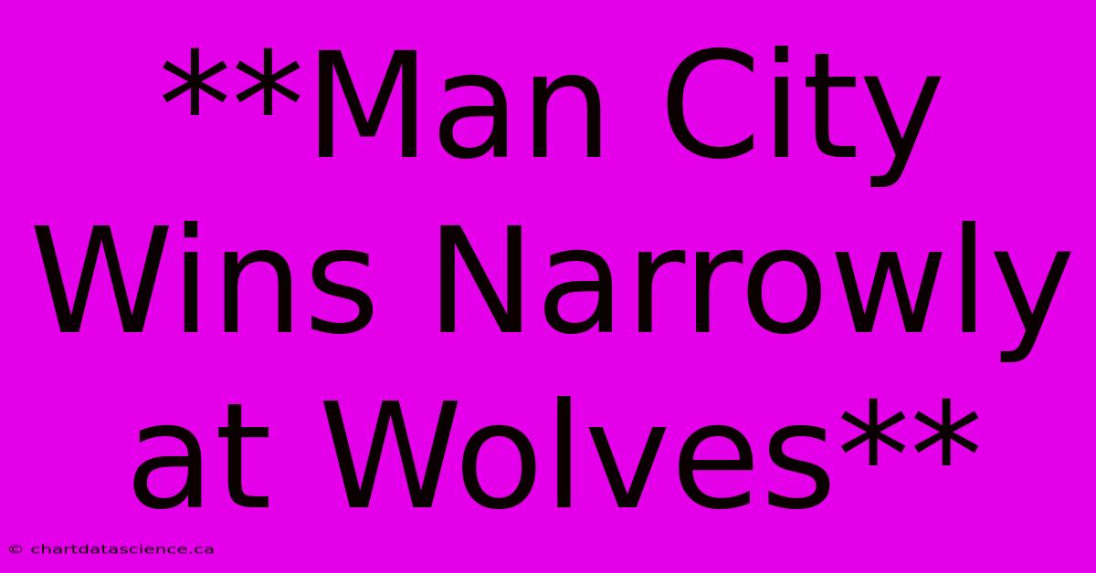 **Man City Wins Narrowly At Wolves**