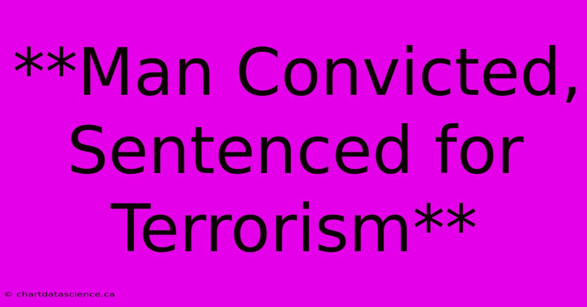 **Man Convicted, Sentenced For Terrorism**