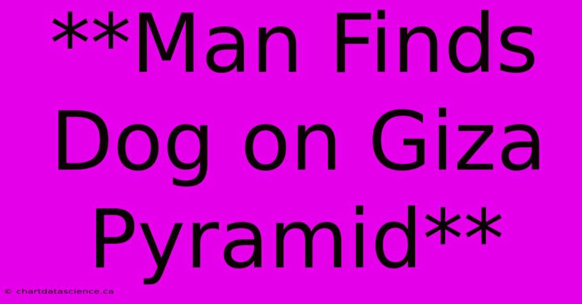 **Man Finds Dog On Giza Pyramid**