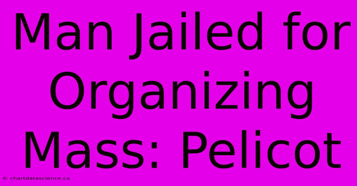 Man Jailed For Organizing Mass: Pelicot