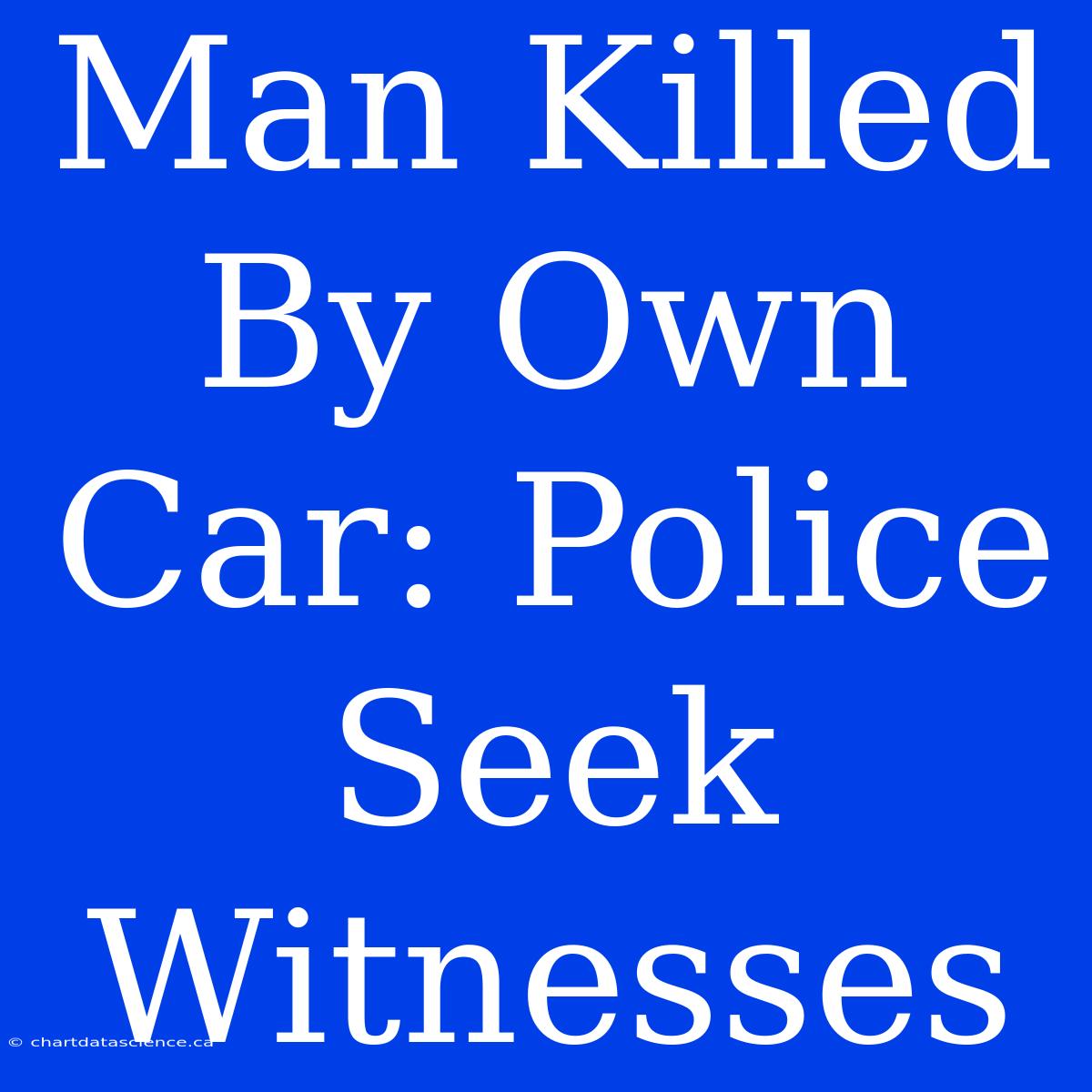 Man Killed By Own Car: Police Seek Witnesses