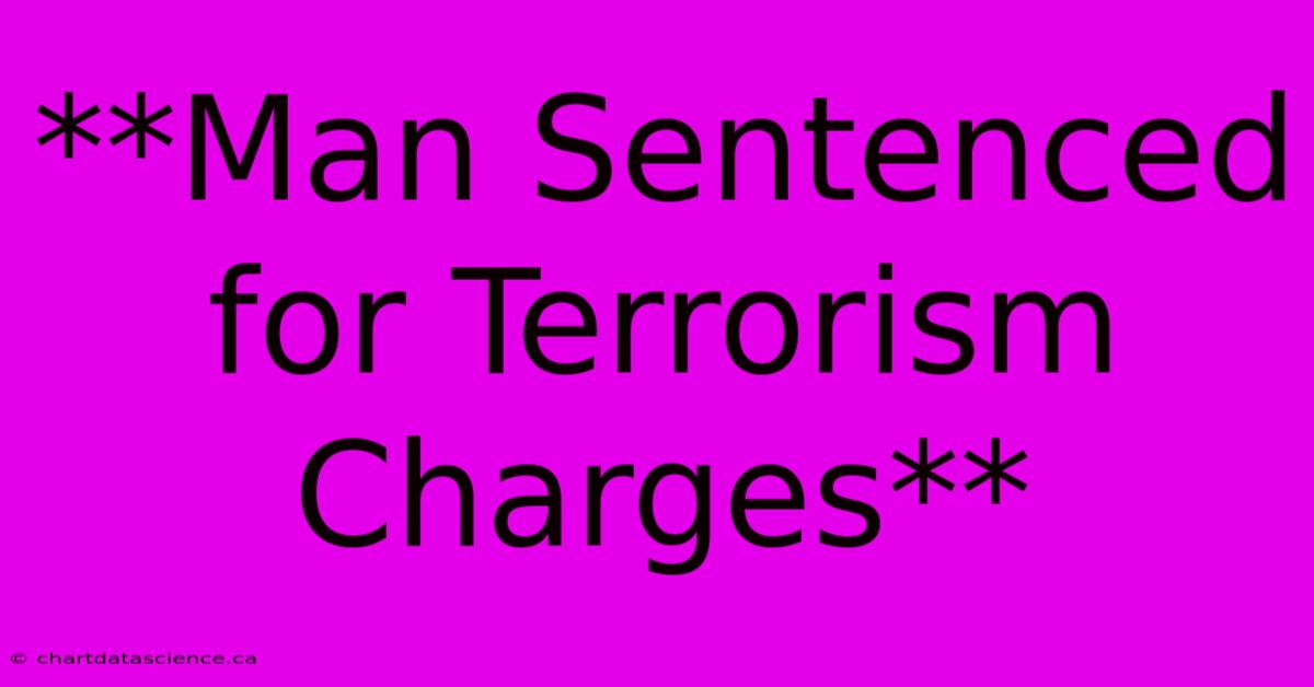 **Man Sentenced For Terrorism Charges** 