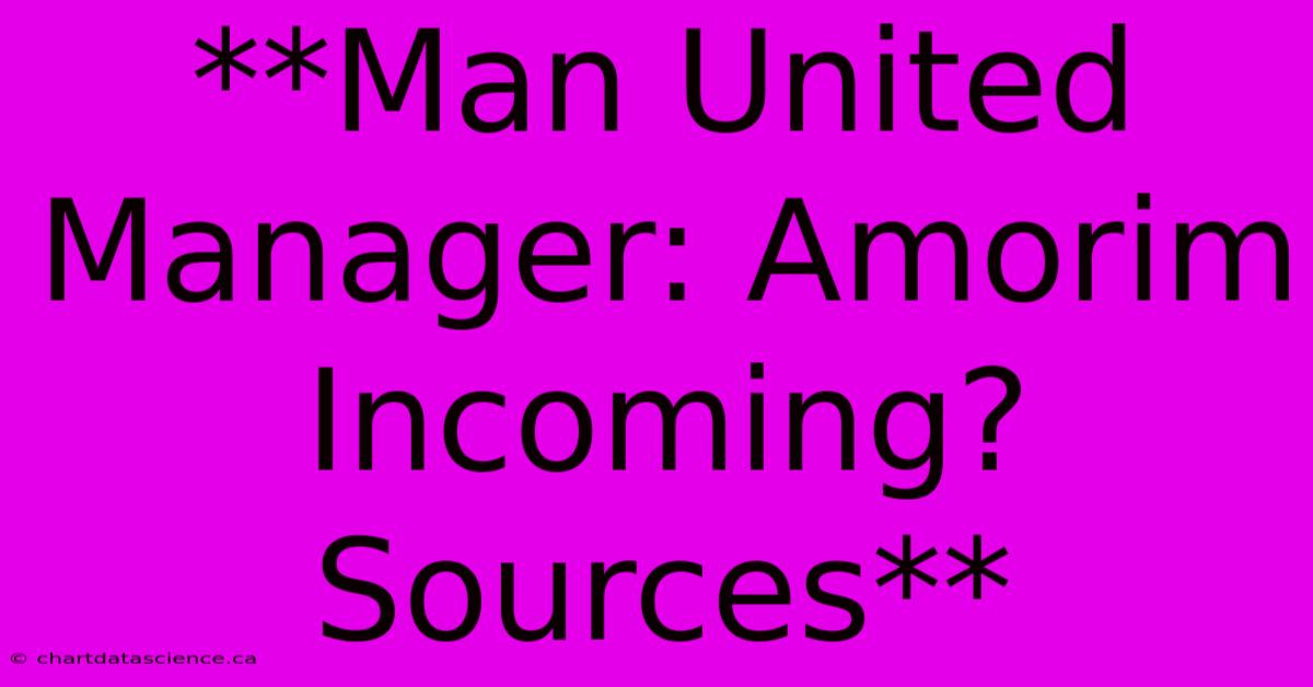 **Man United Manager: Amorim Incoming? Sources** 