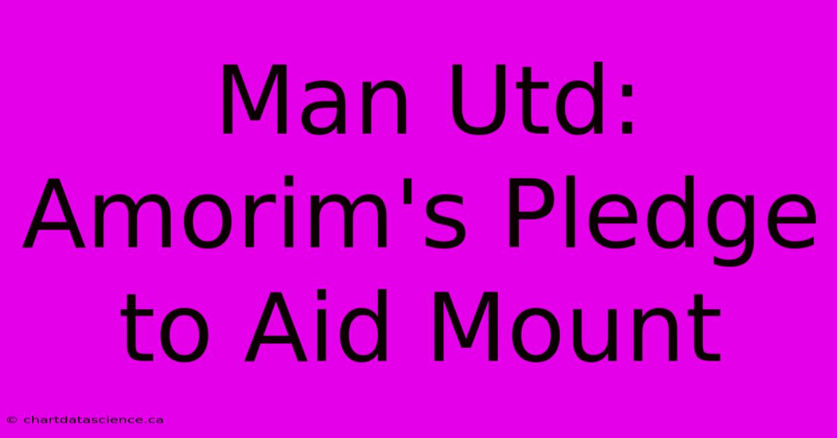 Man Utd: Amorim's Pledge To Aid Mount