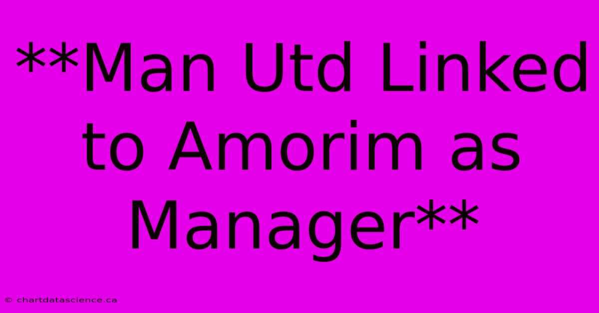 **Man Utd Linked To Amorim As Manager**