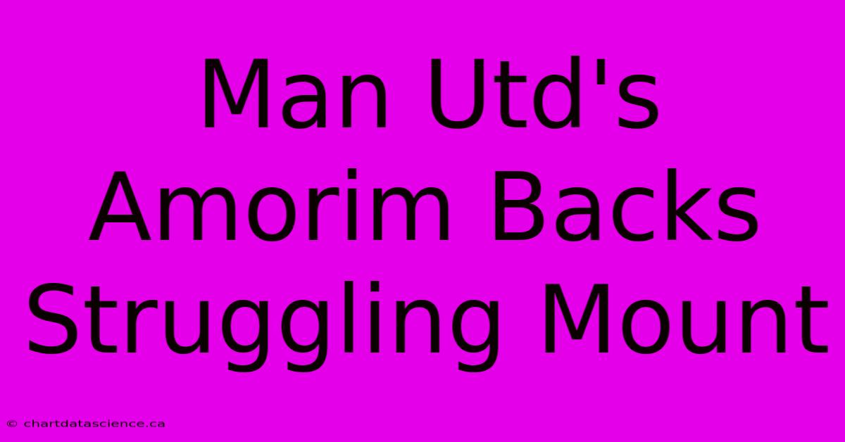 Man Utd's Amorim Backs Struggling Mount