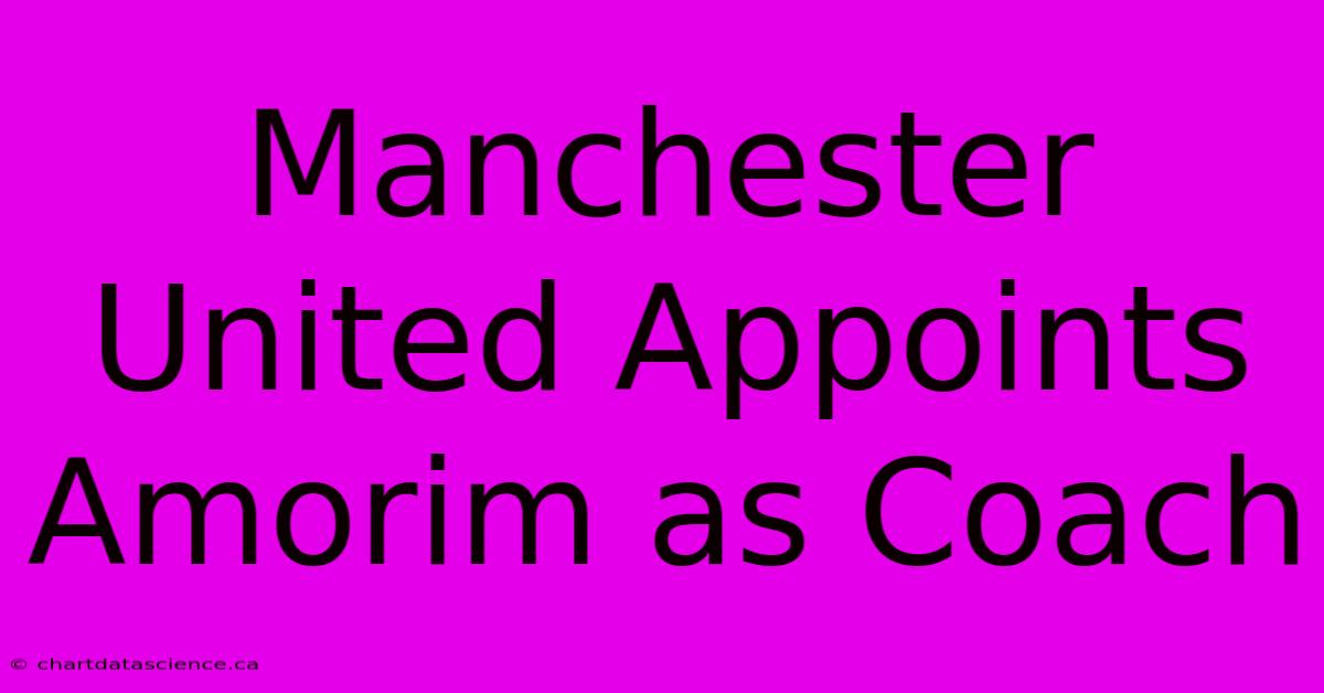 Manchester United Appoints Amorim As Coach