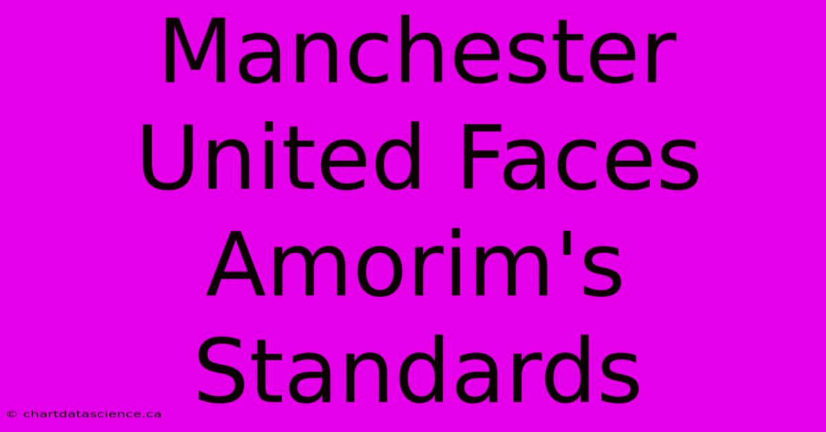 Manchester United Faces Amorim's Standards