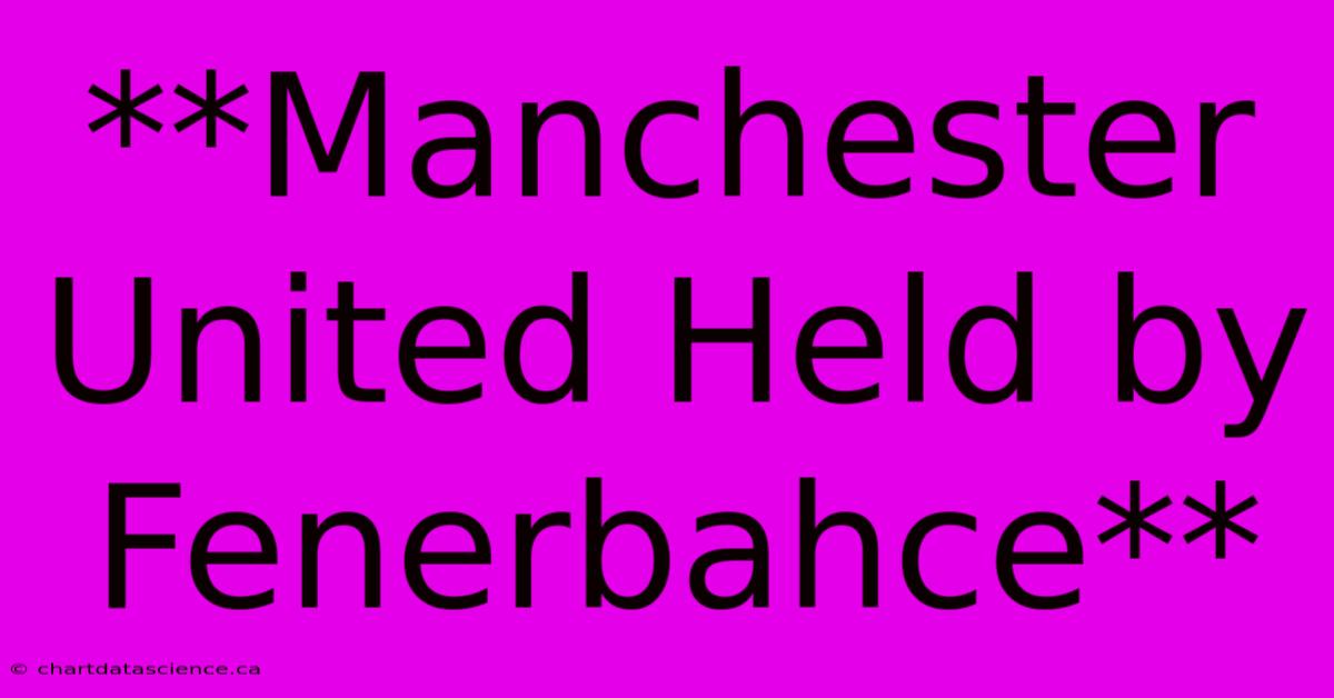 **Manchester United Held By Fenerbahce** 