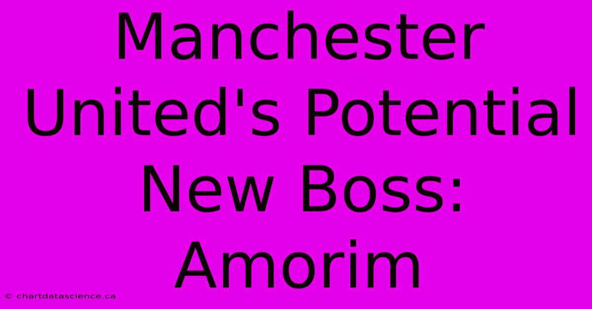 Manchester United's Potential New Boss: Amorim