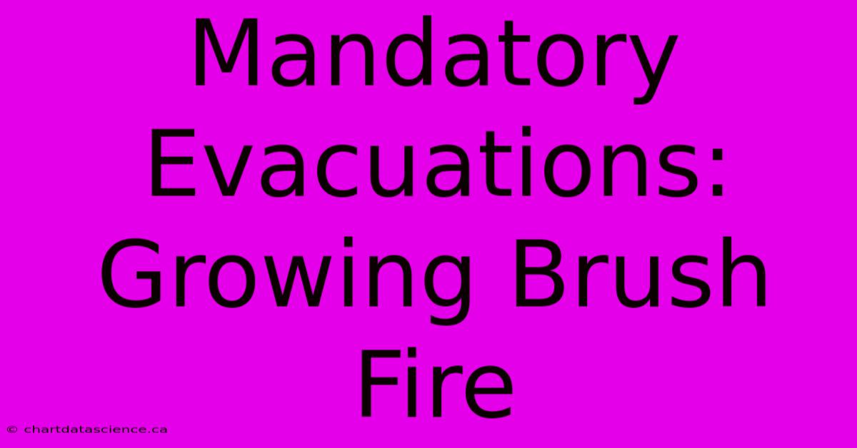 Mandatory Evacuations: Growing Brush Fire