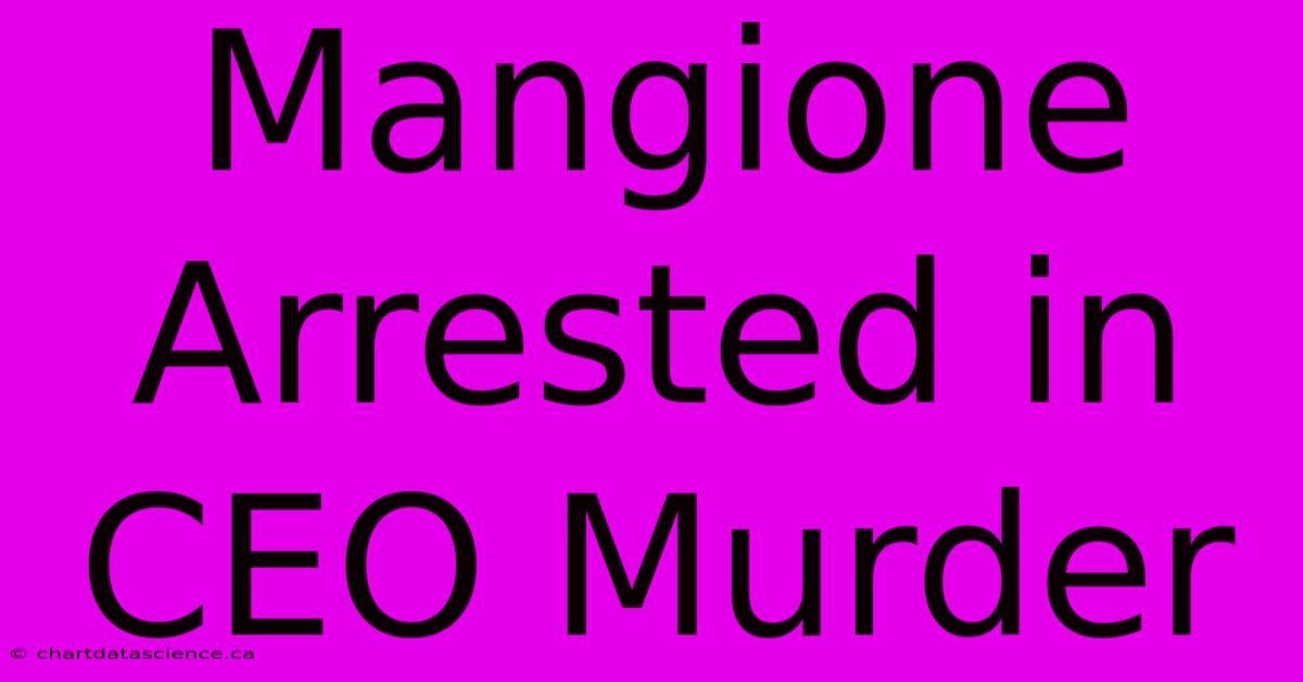 Mangione Arrested In CEO Murder