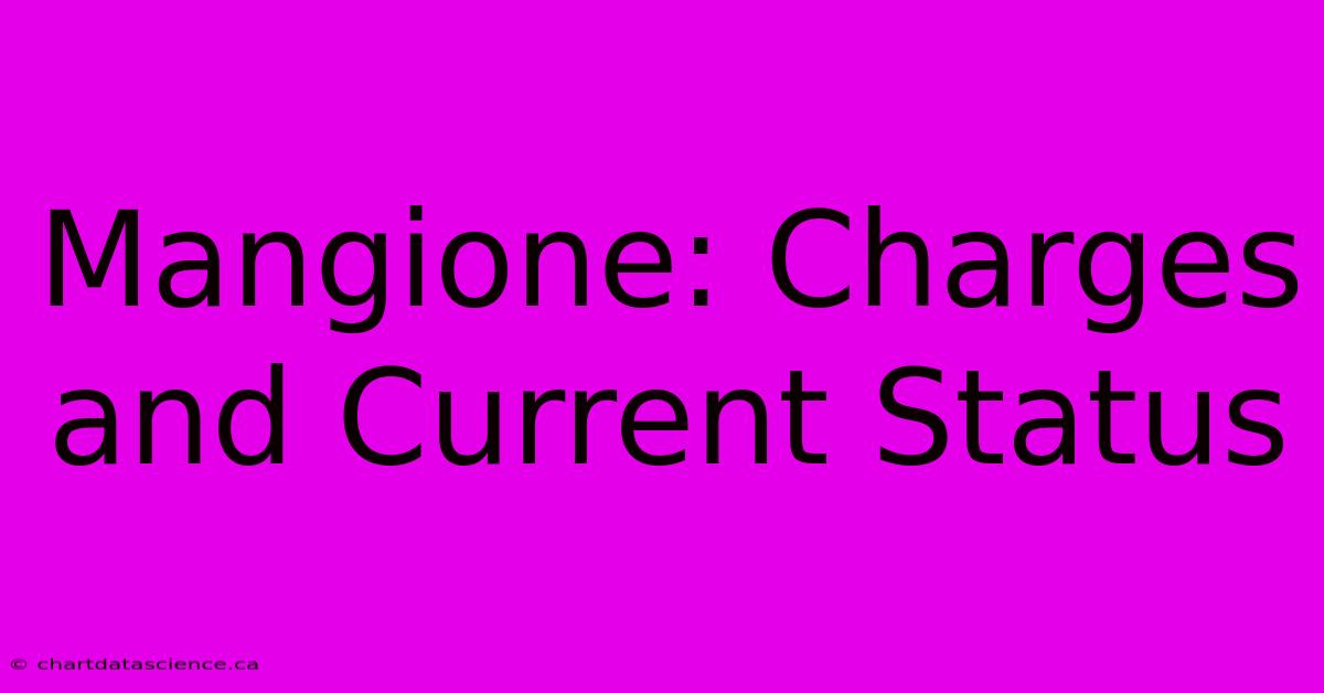 Mangione: Charges And Current Status