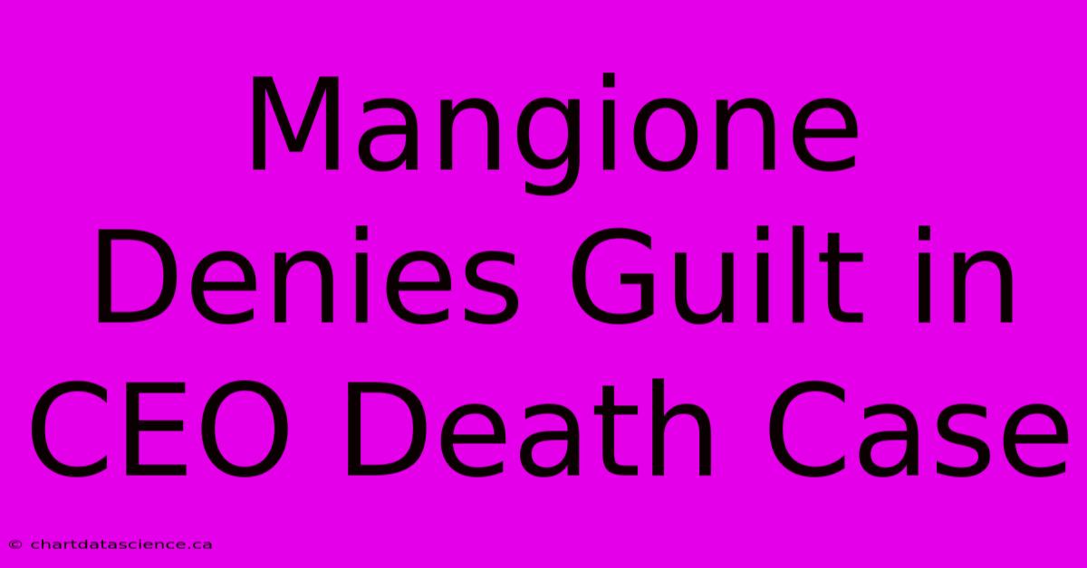 Mangione Denies Guilt In CEO Death Case