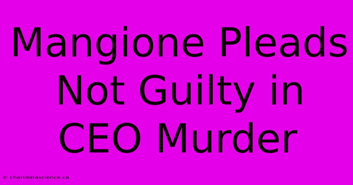 Mangione Pleads Not Guilty In CEO Murder