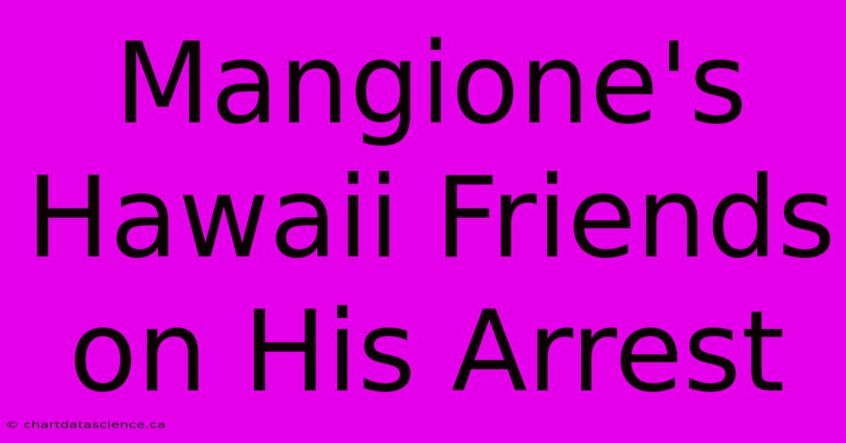 Mangione's Hawaii Friends On His Arrest