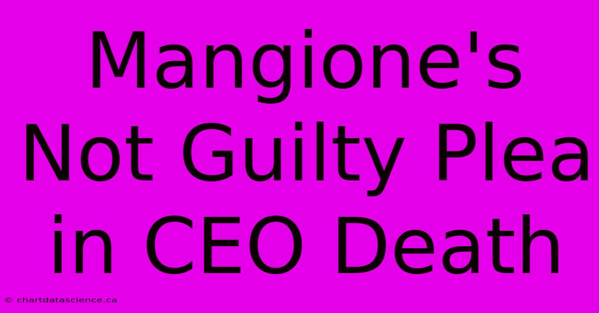 Mangione's Not Guilty Plea In CEO Death