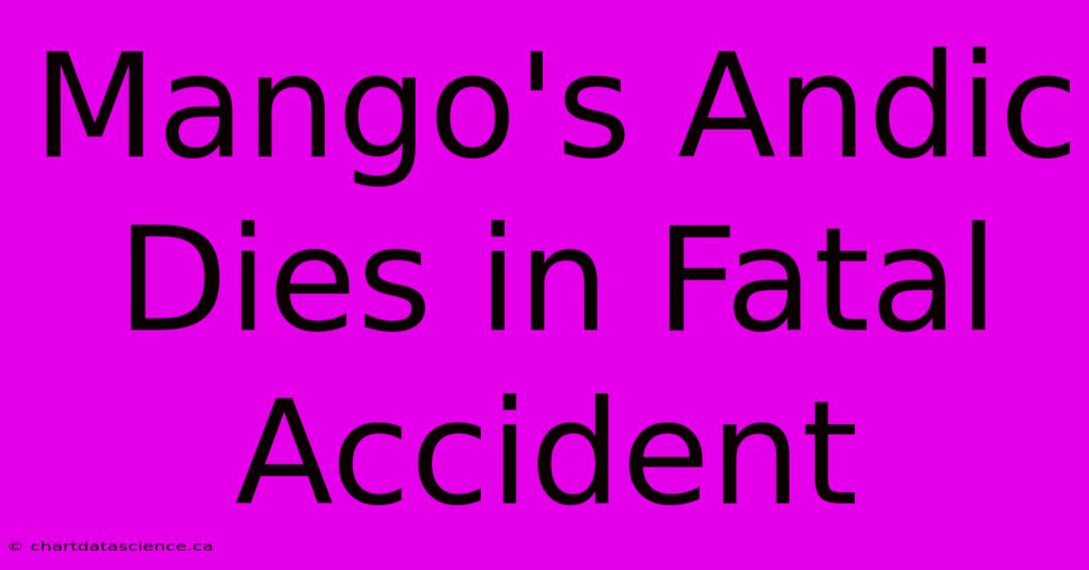 Mango's Andic Dies In Fatal Accident