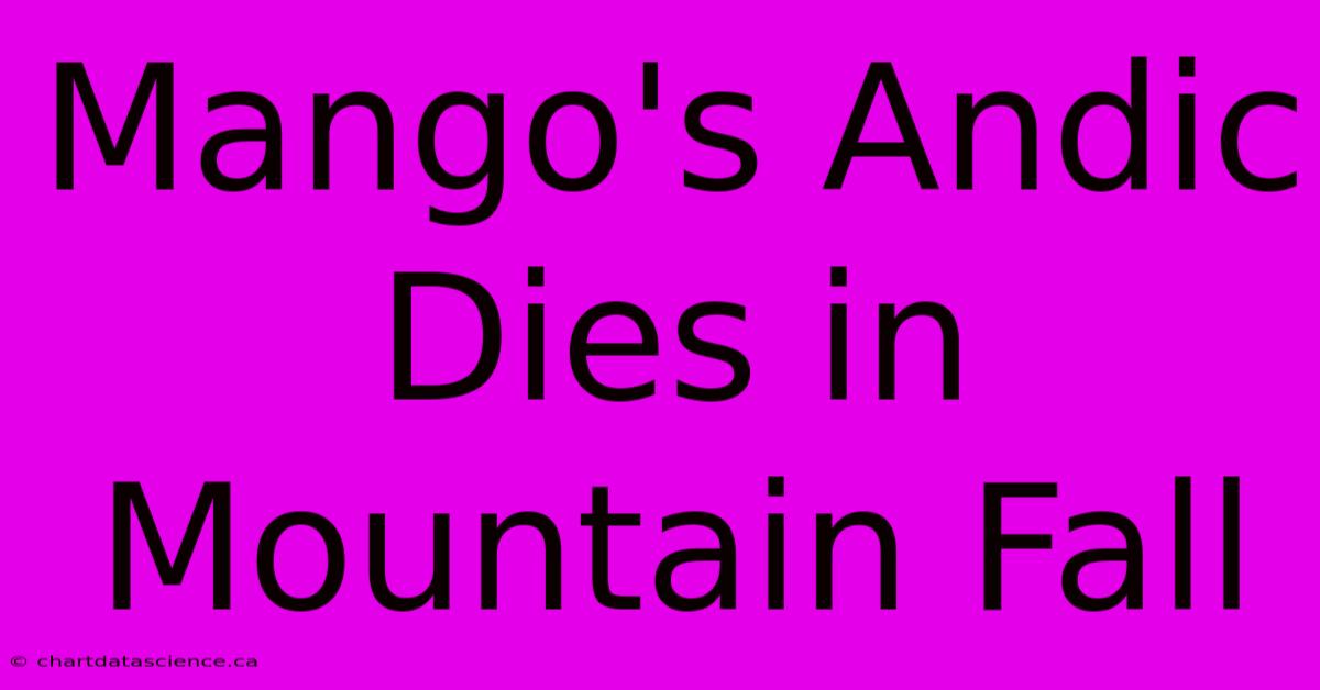 Mango's Andic Dies In Mountain Fall