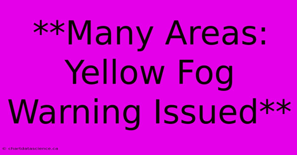 **Many Areas: Yellow Fog Warning Issued**