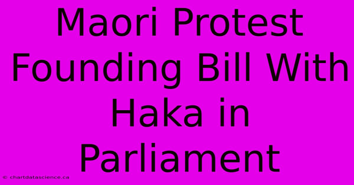 Maori Protest Founding Bill With Haka In Parliament