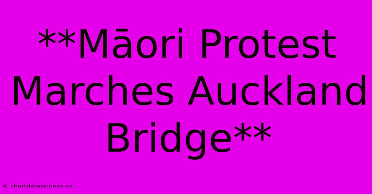 **Māori Protest Marches Auckland Bridge**