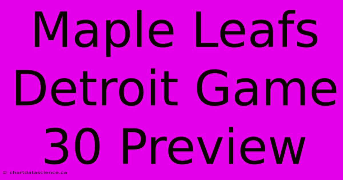 Maple Leafs Detroit Game 30 Preview